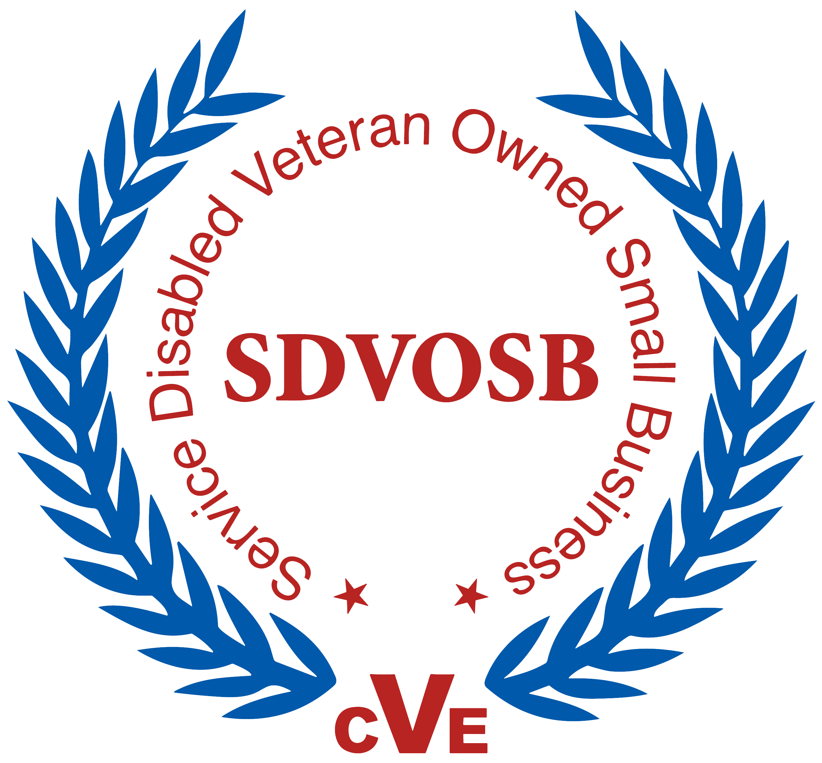 Service-Disabled Veteran-Owned Business